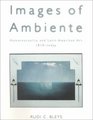 Images of Ambiente Homotextuality and Latin American Art 1810Today