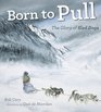 Born to Pull The Glory of Sled Dogs