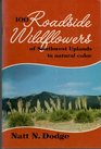 100 Roadside Wildflowers of Southwest Uplands in Natural Color