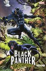 Black Panther Panther's Quest