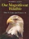 Our Magnificent Wildlife How to Enjoy and Preserve it