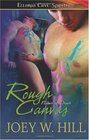 Rough Canvas (Nature of Desire, Bk 6)