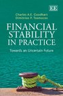 Financial Stability in Practice Towards an Uncertain Future
