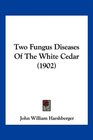 Two Fungus Diseases Of The White Cedar