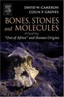 Bones Stones and Molecules  Out of Africa and Human Origins