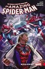Amazing SpiderMan Worldwide Vol 2