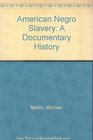 American Negro Slavery A Documentary History