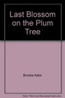 The Last Blossom On The Plum Tree