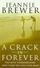 A Crack In Forever