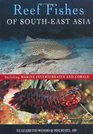 Reef Fishes of SouthEast Asia