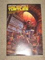 Eastman and Laird's Teenage Mutant Ninja Turtles (Collected Series, Vol. 1)