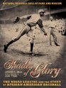 Shades of Glory The Negro Leagues  the Story of AfricanAmerican Baseball