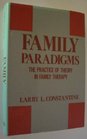 Family Paradigms The Practice of Theory in Family Therapy