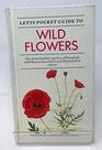 Letts Pocket Guide to Wild Flowers