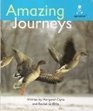 Amazing journeys