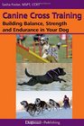 Canine Cross Training: Building Balance, Strength and Endurance in Your Dog