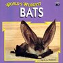 World's Weirdest Bats