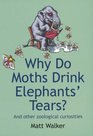 WHY DO MOTHS DRINK ELEPHANTS' TEARS AND OTHER ZOOLOGICAL CURIOSITIES