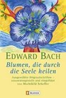 Blumen die durch die Seele heilen