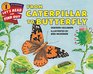 From Caterpillar to Butterfly