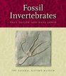 Fossil Invertebrates