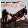 Look Closer Desert Life