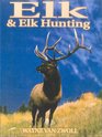 Elk  Elk Hunting