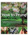 How to Prune An Illustrated Guide to Easy Pruning for Every Plant and Every Season