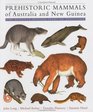 Prehistoric Mammals of Australia and New Guinea  One Hundred Million Years of Evolution