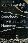 Somebody with a Little Hammer Essays