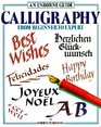Usborne Guide Calligraphy From Beginner to Expert