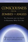 Consciousness from Zombies to Angels: The Shadow and the Light of Knowing Who You Are