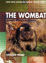 The Wombat Common Wombats in Australia