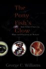 The Pony Fish's Glow And Other Clues to Plan and Purpose in Nature