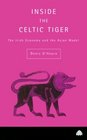 Inside the Celtic Tiger The Irish Economy and the Asian Model