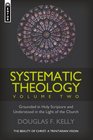 Systematic Theology  The Beauty of Christ  a Trinitarian Vision