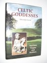 Celtic Goddesses Warriors Virgins and Mothers