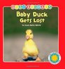 Baby Duck Gets Lost