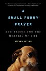 A Small Furry Prayer Dog Rescue and the Meaning of Life