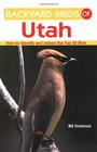 Backyard Birds of Utah How to Identify and Attract the Top 25 Birds