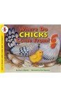 Where Do Chicks Come From