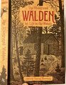 The Illustrated Walden or Life in the Woods