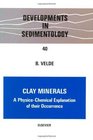 Clay Minerals A Physicochemical Explanation of Their Occurrence