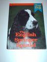 The English Springer Spaniel