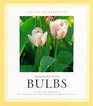 Designing with Bulbs (Joy of Gardening)