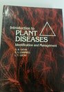 Introduction to Plant Diseases Identification and Management