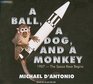 A Ball a Dog and a Monkey 1957The Space Race Begins