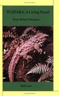 Tuatara A Living Fossil