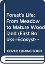 Forest's Life From Meadow to Mature Woodland