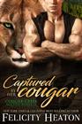 Captured by her Cougar Cougar Creek Mates Shifter Romance Series